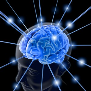 brain supplements brain supplements